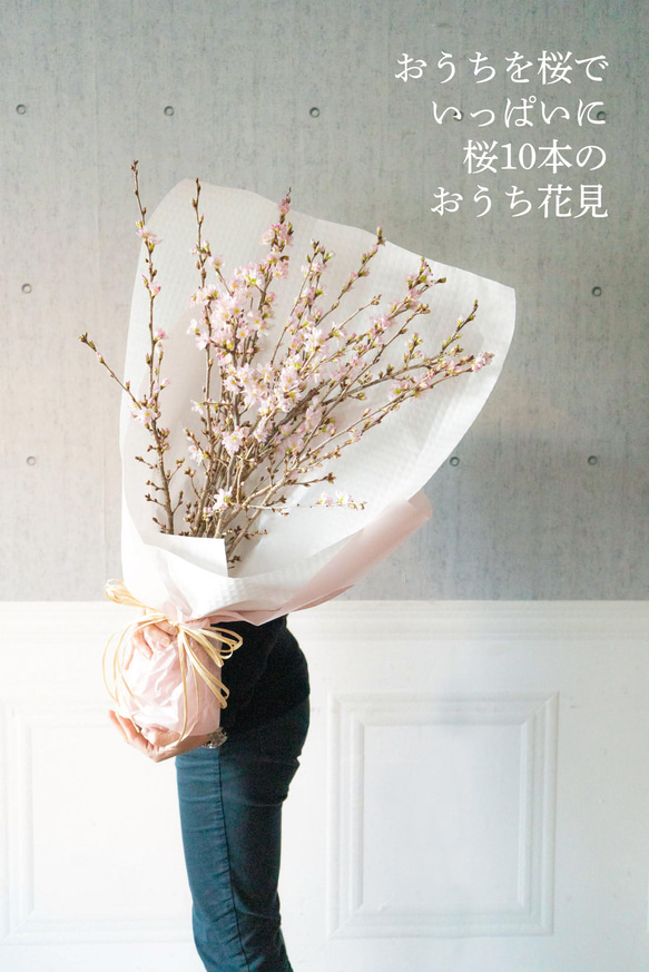 【おうちお花見に最適】本物のさくらの枝を可愛い色でラッピング　おまかせ桜の枝60cm × 10本セット 3枚目の画像