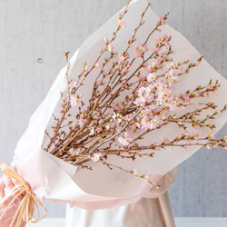 【おうちお花見に最適】本物のさくらの枝を可愛い色でラッピング　おまかせ桜の枝60cm × 10本セット 9枚目の画像
