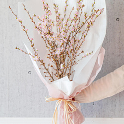 【おうちお花見に最適】本物のさくらの枝を可愛い色でラッピング　おまかせ桜の枝60cm × 10本セット 2枚目の画像