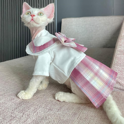 猫服・アクセサリー sk.kit 楽天市場】猫 首輪 セーフティバックル 襟付き 鈴 デザイン