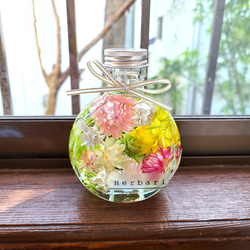 ハーバリウム ～エジプシャングラス①～ ハーバリウム・植物標本 麗花