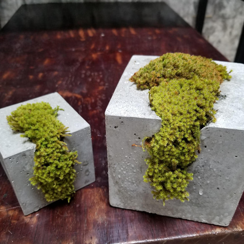 値下げ❗️一輪挿し　花瓶　オブジェ　置物　流木　根っこ 値下げ＊流木の花瓶＊一輪挿し＊