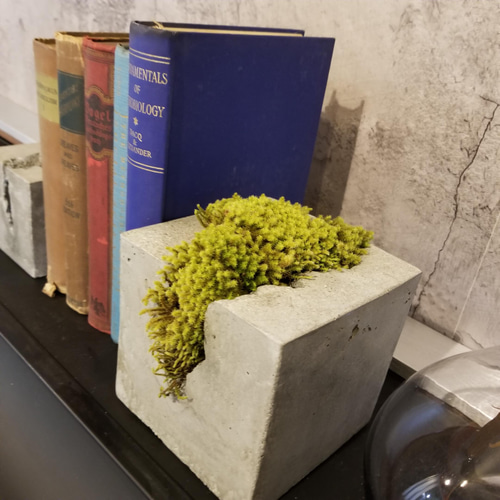 FP1425 ハンドメイド センメント 置物 オブジェ コンクリート