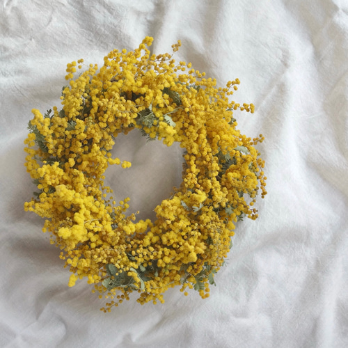 数量限定 ミモザのリース ドライフラワー（直径26cm） リース wildswag