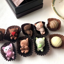 訂製的 6 隻巧克力貓套裝 第6張的照片