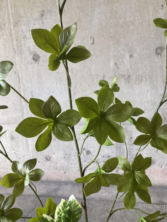 光触媒　人工観葉植物　ウォールグリーン　フェイク　アレンジ　ドウダンとスピンドル 4枚目の画像