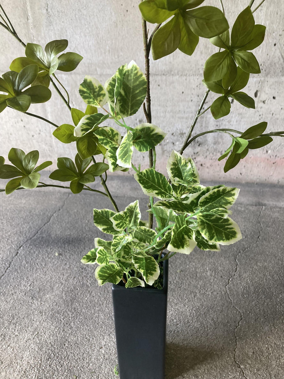 光触媒　人工観葉植物　ウォールグリーン　フェイク　アレンジ　ドウダンとスピンドル 5枚目の画像