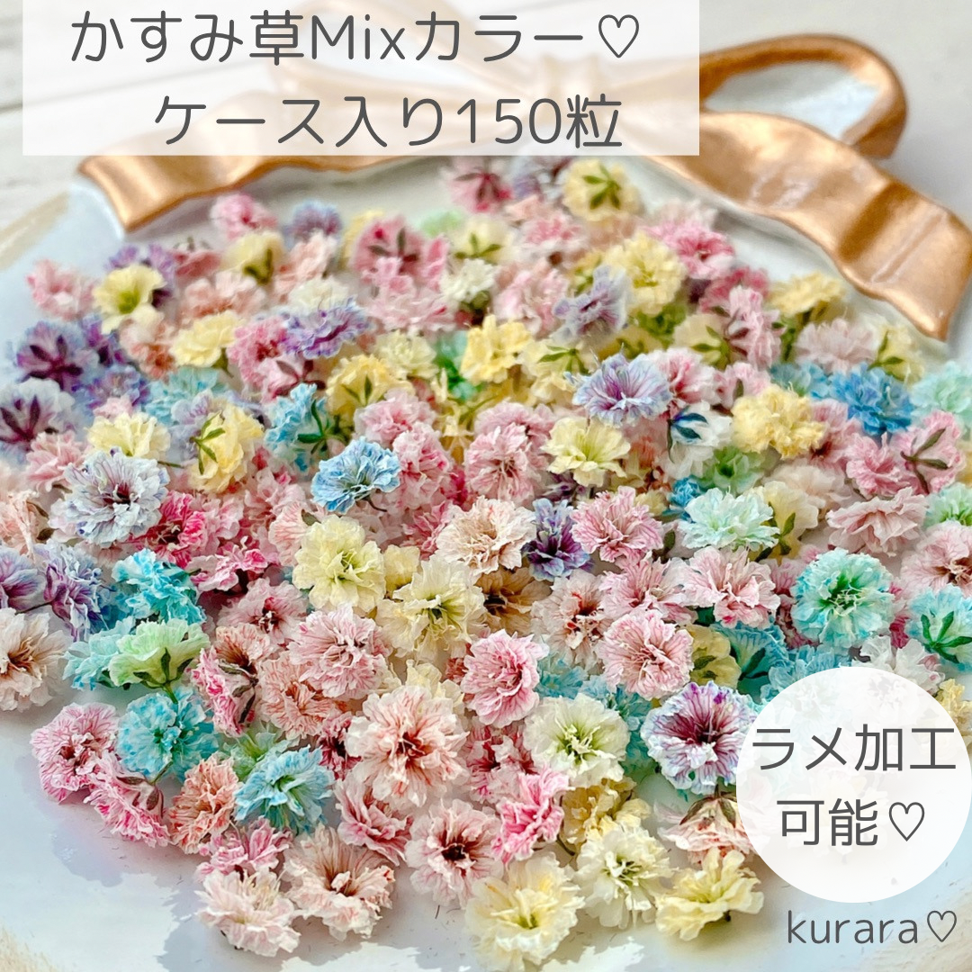 ゆめかわ かすみ草 ドライフラワー ミックスカラー たっぷり150