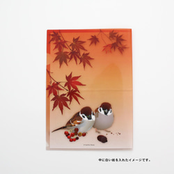 【A5】クリアファイル「秋すずめ」 4枚目の画像