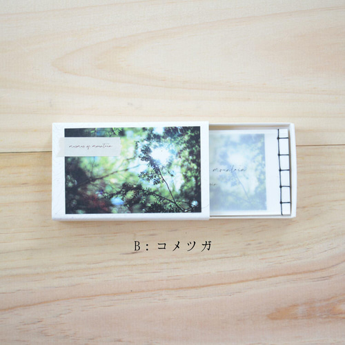 名刺BOX和綴じ豆本「murmur of mountain」 ZINE・小冊子 mt