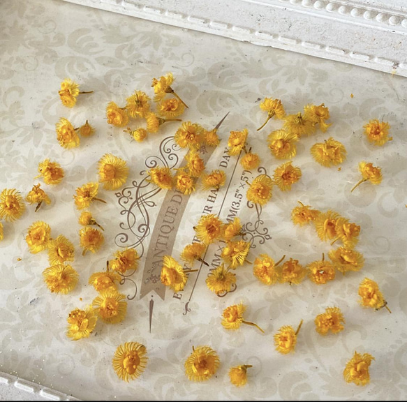 いい香りがする癒しオレンジ二テンスパーツ❣️ドライフラワー  