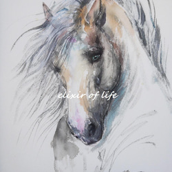 青い目の馬のポートレート２０２２（墨絵、厚い和紙、２６ｃｍ×３６ｃｍ、水彩、アクリル） 1枚目の画像