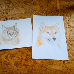 [送料無料]     犬と猫　手描きポストカード　インテリアカード 9枚目の画像
