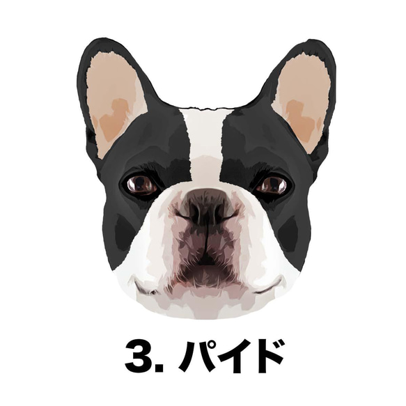 【フレンチブルドック毛色6色】マグカップ　お家用　プレゼント　コーギーブラザーズ　犬　うちの子 4枚目の画像