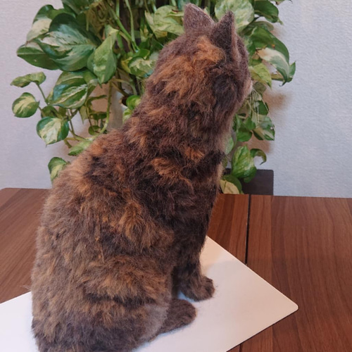 羊毛フェルトオーダー】 猫 犬 ペルシャ チンチラ ハチワレ