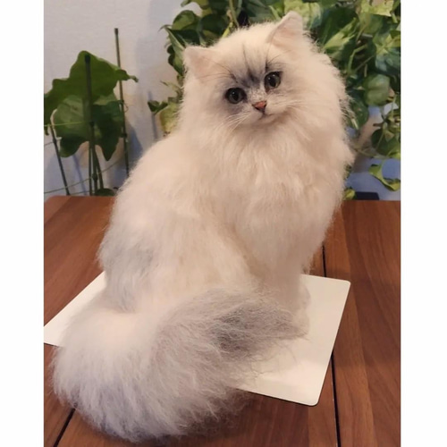 nenneco. チンチラシルバー 子猫 羊毛フェルト ハンドメイド