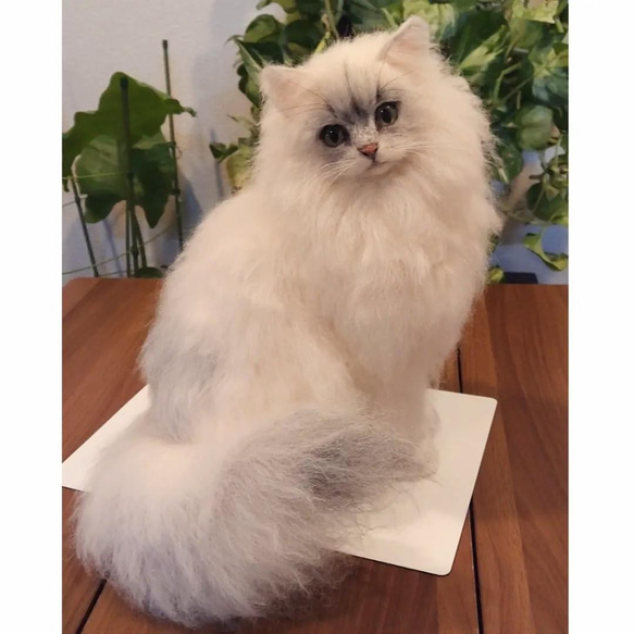 羊毛フェルト猫 チンチラシルバー シェルフ 木工雑貨 ペルシャ猫