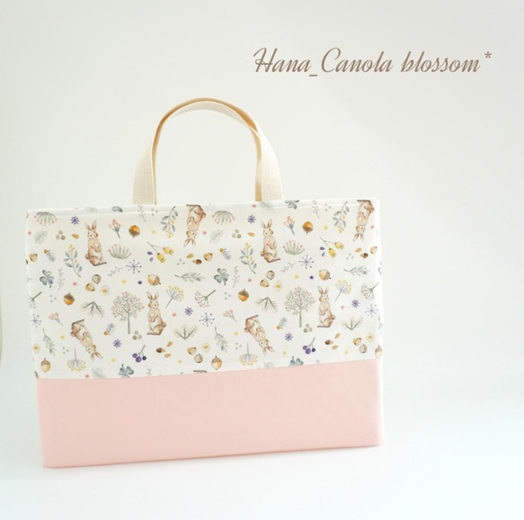 ✧人気作品✧˖°】『 Milky rabbit ～ベビーピンク～ 』＊ レッスン 