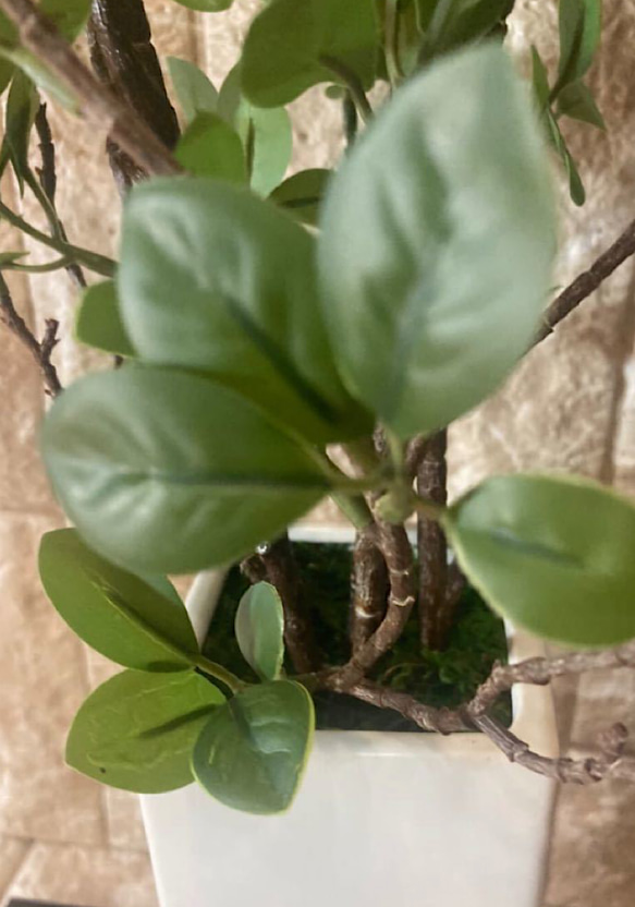 光触媒　人工観葉植物　ウォールグリーン　フェイク　アレンジ　ドウダン花器付 5枚目の画像