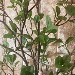光触媒　人工観葉植物　ウォールグリーン　フェイク　アレンジ　ドウダン花器付 4枚目の画像