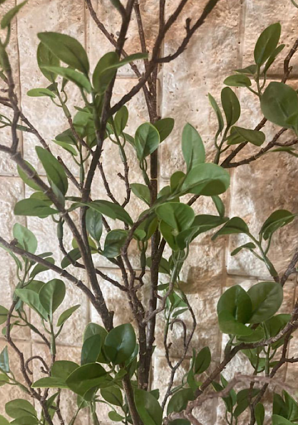 光触媒　人工観葉植物　ウォールグリーン　フェイク　アレンジ　ドウダン花器付 4枚目の画像