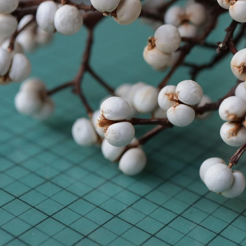 ナンキンハゼのドライフラワー（束） その他素材 yurari fleur 通販