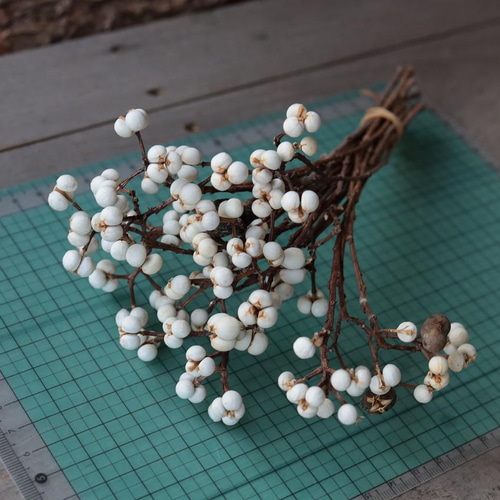 ナンキンハゼのドライフラワー（束） その他素材 yurari fleur 通販