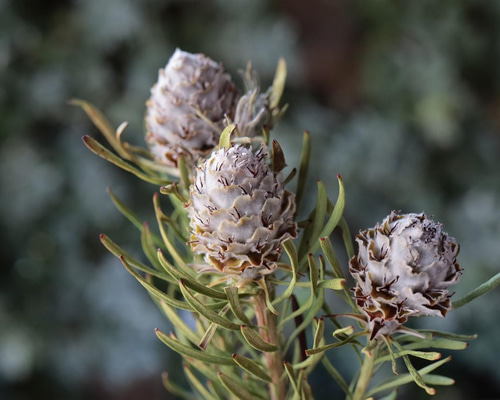 8d4de77b483f6e467f6ab6c5f66a31