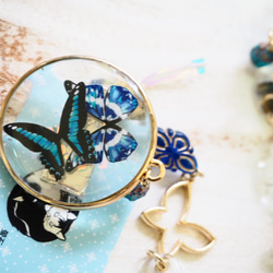 ストールクリップ羽織紐　青い蝶々『郡蝶』 2枚目の画像