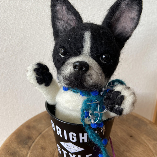 フレンチブルドッグ フレンチ 羊毛フェルト 羊毛犬 フレブル 犬