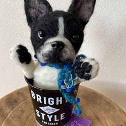 アメリカンコッカースパニエル 羊毛フェルト 羊毛 愛犬