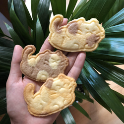 怠け者 猫 クッキー型・クッキーカッター / 自主制作 クッキー型 / キャラクター型 / かわいいベーキング用品 5枚目の画像