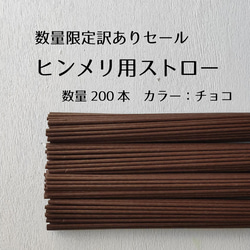らっきょ！ヒンメリ用プラスチックストロー1000本 らっきょ様専用！ヒンメリ用プラスチックストロー1000本