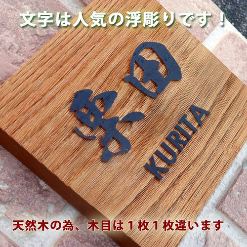 表札☆浮きトコナツ200☆ 表札☆浮きトコナツ200☆ 表札☆浮きトコナツ200☆
