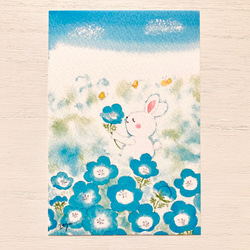 透明水彩画「ネモフィラ畑でほっこり」3枚セット　イラスト　ポストカード　うさぎ　ウサギ　入園入学　バレンタイン　花　春 1枚目の画像