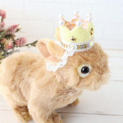kirakira crown･･･小さな小動物向け　ミニクラウン　王冠　うさぎ　チンチラ・・♪ 12枚目の画像