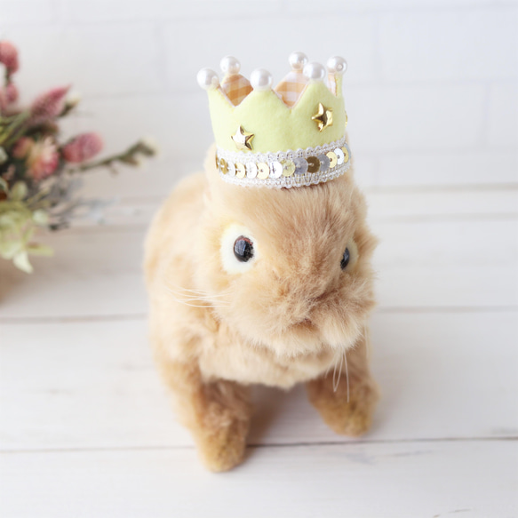 kirakira crown･･･小さな小動物向け　ミニクラウン　王冠　うさぎ　チンチラ・・♪ 13枚目の画像