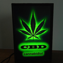 トカゲ 蜥蜴 爬虫類 ネオン系 テーブル カウンター BAR サイン ランプ