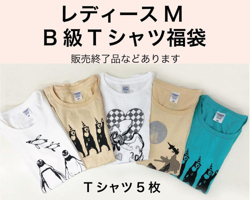 Ｂ品ありＴシャツ福袋 レディースＭ-1 5枚セット 送料無料 Tシャツ