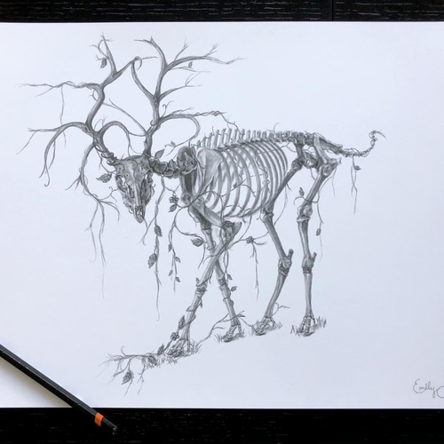 鹿骸の骸骨プリント その他アート ArtByEmily 通販 13311195