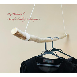 流木インテリア 真っすぐに伸びる枝の大型ハンガーラック 北欧 衣装掛け ハンギング 吊り下げ ハンガーポール 癒し 2枚目の画像