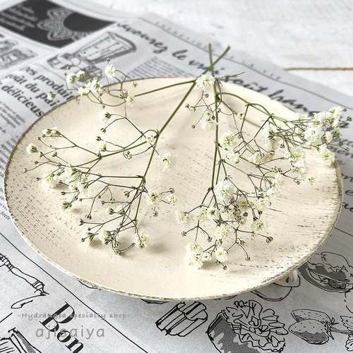 新製法：＜生花のような＞カスミソウ ナチュラル 【ドライフラワー