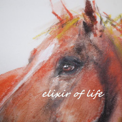 赤い馬のポートレート２０２２（パステル、墨、厚い和紙、２６ｃｍ×３６ｃｍ） 2枚目の画像