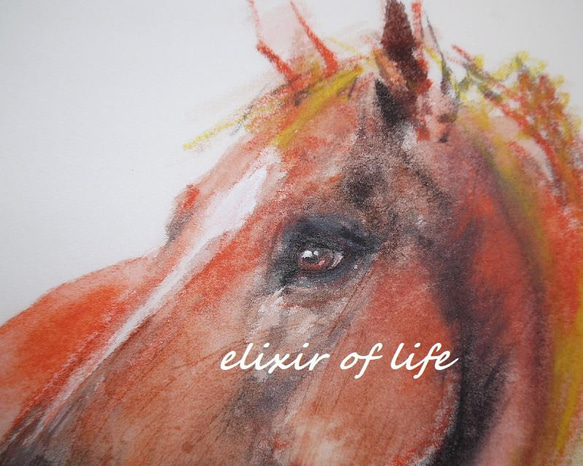 赤い馬のポートレート２０２２（パステル、墨、厚い和紙、２６ｃｍ×３６ｃｍ） 2枚目の画像