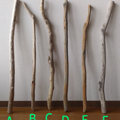 90cm～100cm (A.D.E.Fは売り切れました！)(各1本ずつでの  