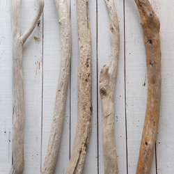 流木インテリアハンガーno.39 流木インテリアハンガーno.39