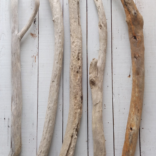 流木14本 20.5〜44.5㌢ no.72