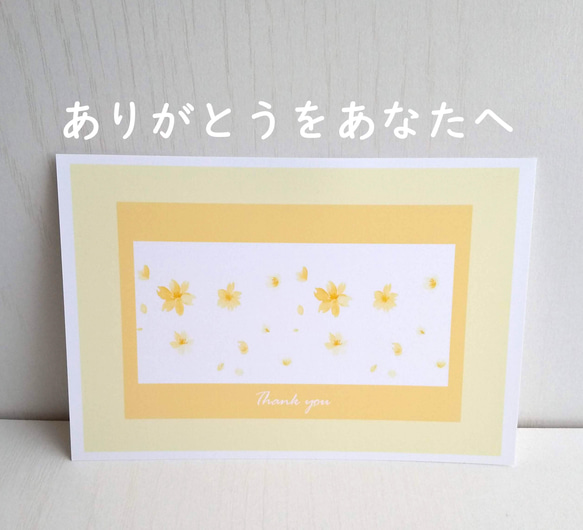 サンキュー「Yamabuki」ポストカード /3枚セット　 ナチュラコ 1枚目の画像