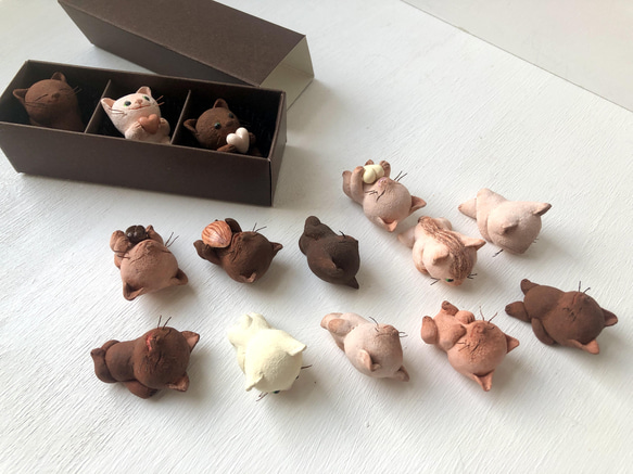 能選的巧克力風格貓三重奏 第3張的照片