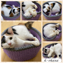 猫ベッド☆猫カゴ Tシャツヤーンで手編み 犬カゴ☆ペットベッド【Mサイズ】NO,196 5枚目の画像